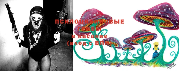 спайс Липки
